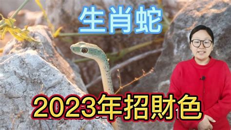 屬蛇適合什麼顏色|屬蛇人2024幸運色